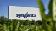 Syngenta verschiebt Börsengang in Hongkong auf 2027