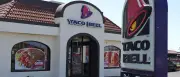 Taco Bell im Visier: Hunderte erkrankt an Parasit Cyclospora