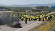 Tausende protestieren gegen AfD-Parteitag in Erfurt – Veranstaltung läuft planmäßig