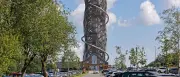 Tödlicher Sturz von Harzturm: Drei Menschen sterben in Altenau
