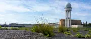 Tempelhofer Feld: Kein Revival des Berliner Hinterhofs