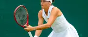 Tennis: Tatjana Maria in Wimbledon chancenlos gegen Iva Jovic