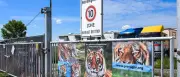 Tigerangriff bei Leipzig: 72-Jähriger stirbt zwei Monate nach Attacke