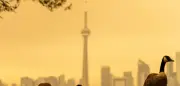 Toronto hat weltweit schlechteste Luftqualität durch Waldbrände