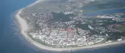 Toter Schweinswal vor Norderney angespült – Urlauber fotografieren