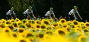 Tour de France: Olav Kooij gewinnt 5. Etappe im Sprint