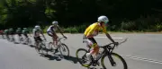 Tour de France: Pogacar trotz Krankheitsfällen im Team entspannt