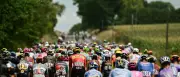 Tour de France: Tim Merlier siegt in Bordeaux, Max Kanter Vierter