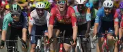 Tour de France: Wærenskjold gewinnt schnellste Etappe, Zimmermann stürzt