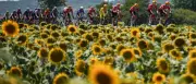 Tour-Debütant Kanter sprintet auf Platz zwei bei der Tour de France