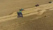 Treibstoffkrise legt Russlands Landwirtschaft lahm – Ernte bedroht