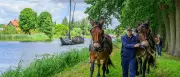 Treidelfest am Finowkanal: Mulis ziehen historischen Kaffenkahn