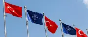 Türkei: Festnahmen vor Nato-Gipfel – Kritik an Razzien
