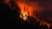 Trump droht Kanada wegen Waldbrandrauchs mit neuen Strafzöllen
