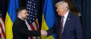 Trump und Selenskyj: Annäherung vor neuem Gipfeltreffen in Washington