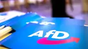 Umfrage-Beben in Berlin: AfD erstmals auf Platz eins