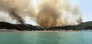 Umweltminister Schneider fordert mehr Tempo beim Klimaschutz