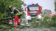 Unwetter in Bodenseeregion: Bäume auf Straßen und Wohnmobil