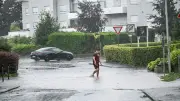 Unwetter in Kressbronn: Baum stürzt auf Wohnmobile – 150.000 Euro Schaden