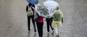 Unwetter in Potsdam: DWD warnt vor Gewitter und Starkregen