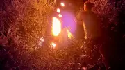 Urlauber löschen Waldbrand in Apulien mit Mülleimern und Poolwasser