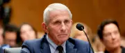 US-Senat: Fauci beruft sich auf Aussageverweigerungsrecht – Republikaner kritisieren 