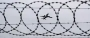 USA beginnen Abschiebung von Migranten nach Palau – millionenschweres Abkommen