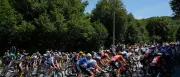 Van der Poel gewinnt Hitze-Etappe der Tour de France im Sprint