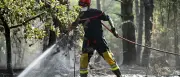 Verheerende Waldbrände in Europa: Frankreich, Spanien und Großbritannien betroffen