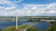 Vier Kreise in Schleswig-Holstein bündeln Kräfte für Klimaneutralität