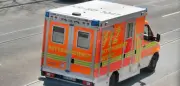 Vierjähriges Mädchen in Sachsen-Anhalt von Familienhund gebissen und getötet