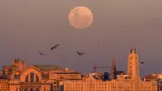 Vollmond im Wassermann am 29. Juli 2026: Diese drei Sternzeichen sind besonders betroffen