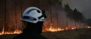 Waldbrand bei Bordeaux: Stabile Nacht, aber Gefahr durch Hitze und Wind bleibt
