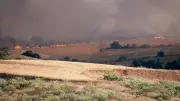 Waldbrand bei Madrid: 26.000 Hektar zerstört, 1.200 Menschen evakuiert