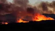 Waldbrand bei Marseille: 1.100 Feuerwehrleute im Einsatz gegen Flammen