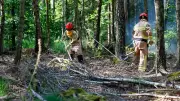 Waldbrand bei Meschede: Landwirte helfen mit Güllefässern bei Löscharbeiten