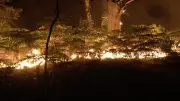 Waldbrand bei Paris: 300 Hektar zerstört, Autobahn gesperrt