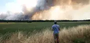 Waldbrand bei Paris: 800 Hektar in Fontainebleau zerstört, Brandstiftung vermutet