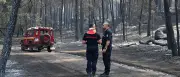 Waldbrand bei Paris: Feuerwehrmann gesteht Brandstiftung