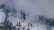 Waldbrand: Eigene Sicherheit geht vor – So verhalten Sie sich richtig
