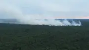 Waldbrand im Müritz-Nationalpark: Evakuierungen wegen Munition