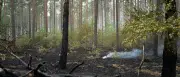 Waldbrand im Müritz-Nationalpark offiziell gelöscht