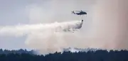 Waldbrand im Müritz-Nationalpark weitet sich auf 388 Hektar aus