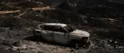 Waldbrand in Almería: Flammen breiten sich aus – zwölf Tote