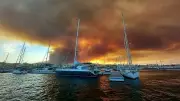 Waldbrand in Andalusien: Feuerwehr erlangt Oberhand – mindestens 12 Tote