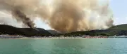 Waldbrand in Apulien: Hunderte Menschen per Schiff evakuiert