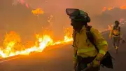 Waldbrand in Südspanien unter Kontrolle: Zwölf Tote, Rückkehr von Evakuierten