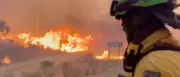 Waldbrand in Spanien: Mindestens zwölf Tote bei Feuer in Andalusien