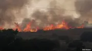 Waldbrand in Westspanien außer Kontrolle: Dörfer evakuiert