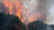 Waldbrand nahe Madrid: 3500 Menschen evakuiert